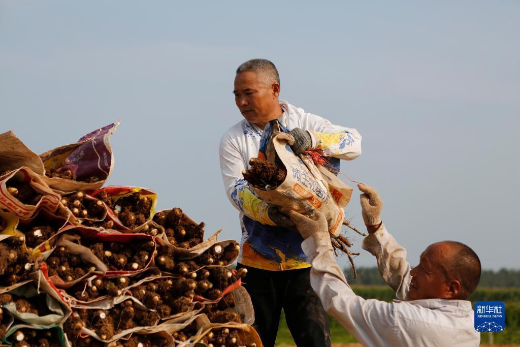 赢现金游戏网